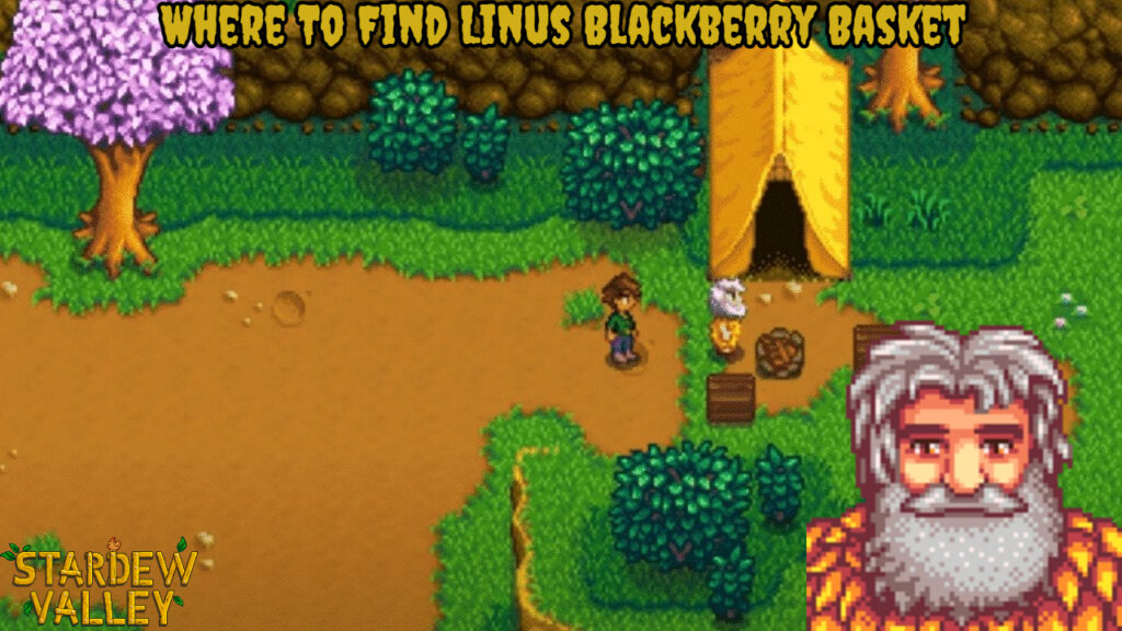 Where To Find Linus Blackberry Basket In Stardew Valley T Developers