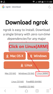 Как установить ngrok в termux на android