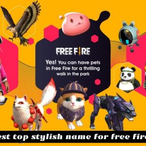 20 stylish name for free fire pet 2021