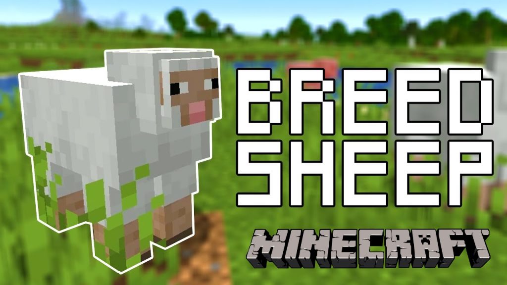 Minecraft Guide: How To Breed Sheep In Minecraft