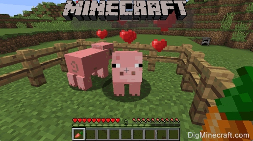 How To Breed Pigs In Minecraft 2021 » T-Developers
