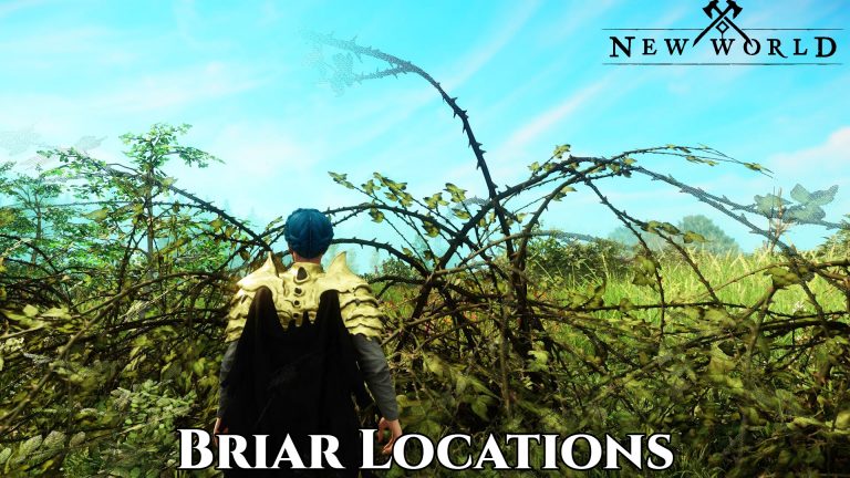 Read more about the article Where to Find Briar Branches New world|New World Briar Locations