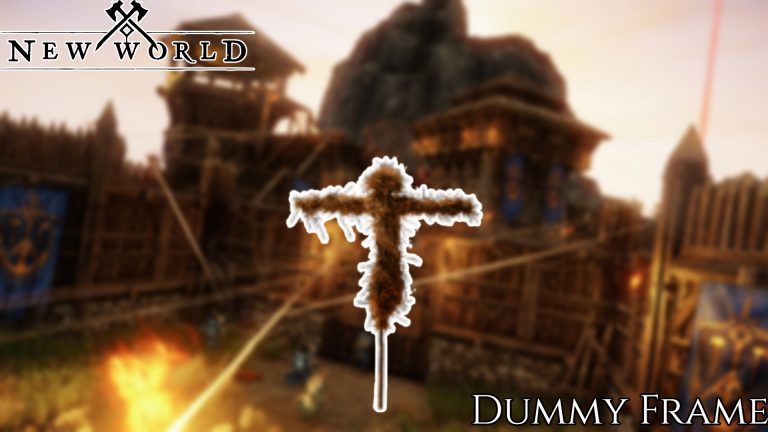 Read more about the article Where To Find A Dummy Frame In New World: And How To Use Dummy Frame