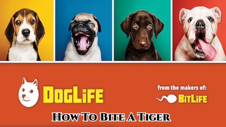 Read more about the article DogLife: How To Bite A Tiger