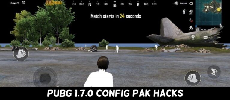 Read more about the article PUBG 1.7.0 90FPS,Black Sky,No Grass Config Pak File Download C1S3