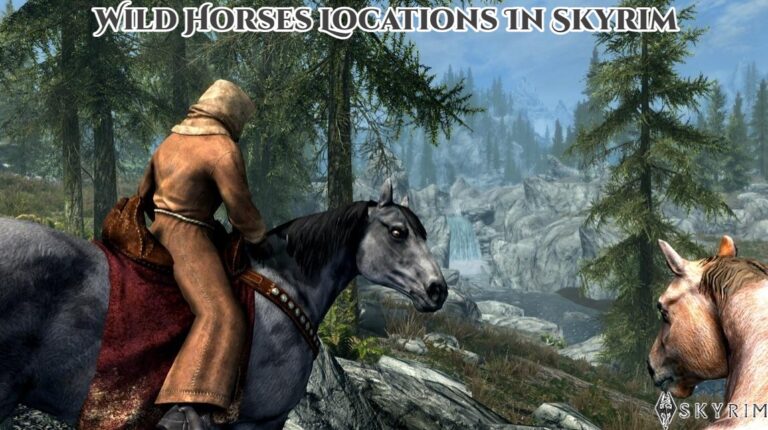 Read more about the article Wild Horses Locations In Skyrim