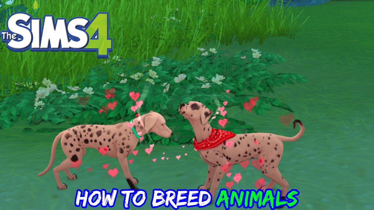 You are currently viewing The Sims 4: How To Breed Animals