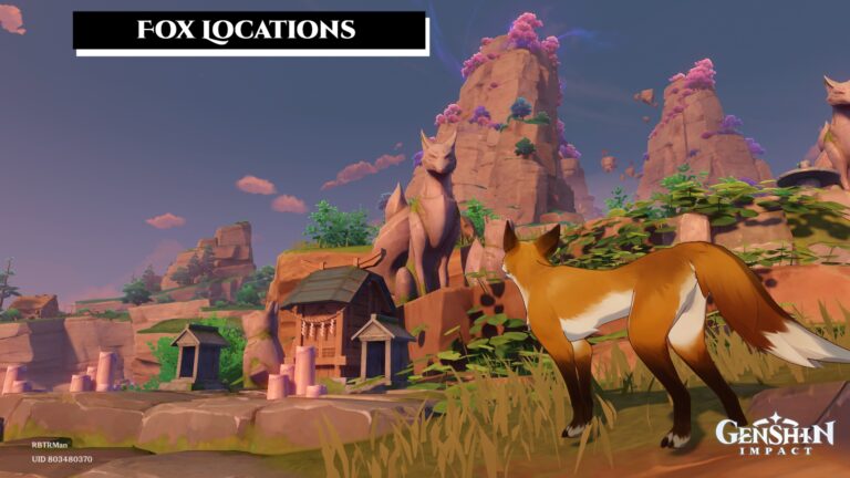 Read more about the article Fox Locations In Genshin Impact