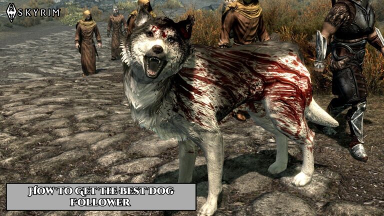 Read more about the article How To Get The Best Dog Follower In Skyrim