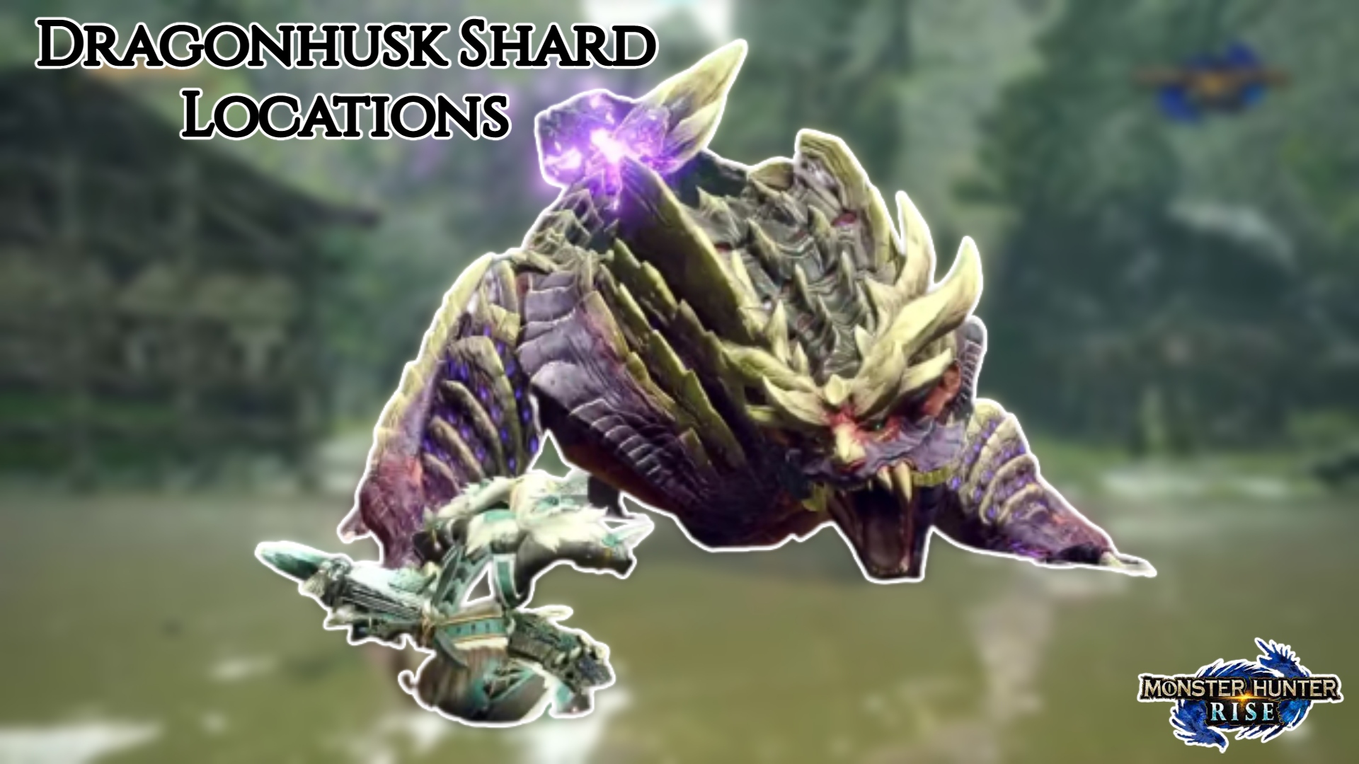 You are currently viewing Dragonhusk Shard Locations In Monster Hunter Rise