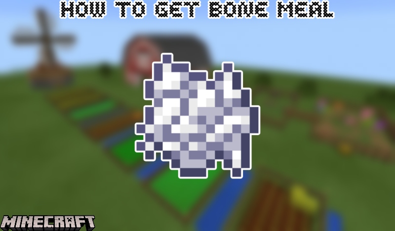 How To Get Bone Meal