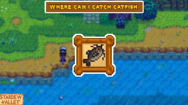 Where Can I Catch Catfish In Stardew Valley