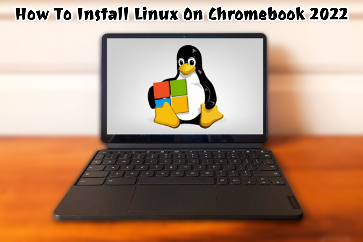 Read more about the article How To Install Linux On Chromebook 2022