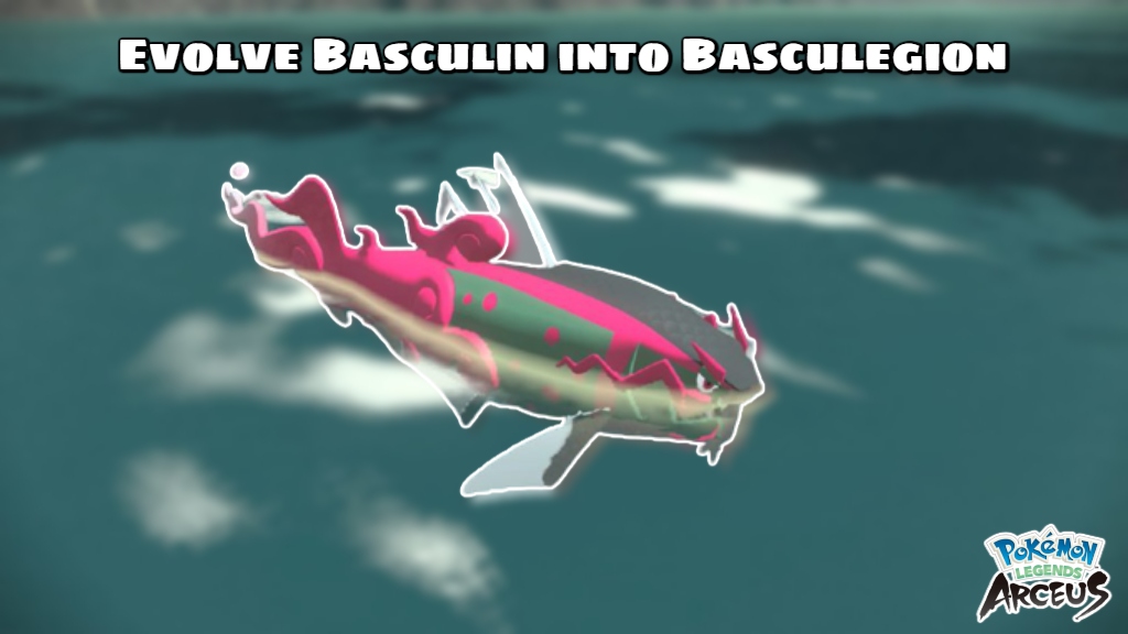 You are currently viewing How To Evolve Basculin Into Basculegion 