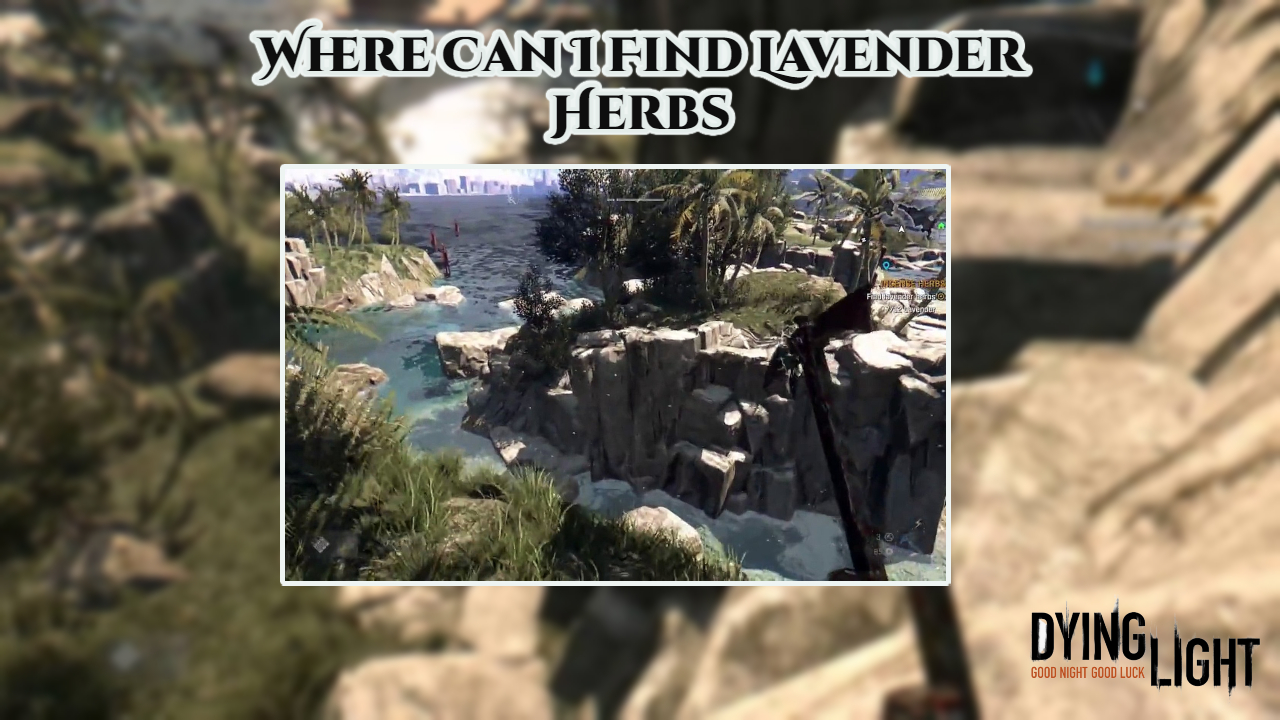 Read more about the article Where Can I Find Lavender Herbs In Dying Light