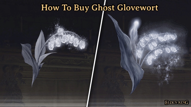 Read more about the article How To Buy Ghost Glovewort In Elden Ring