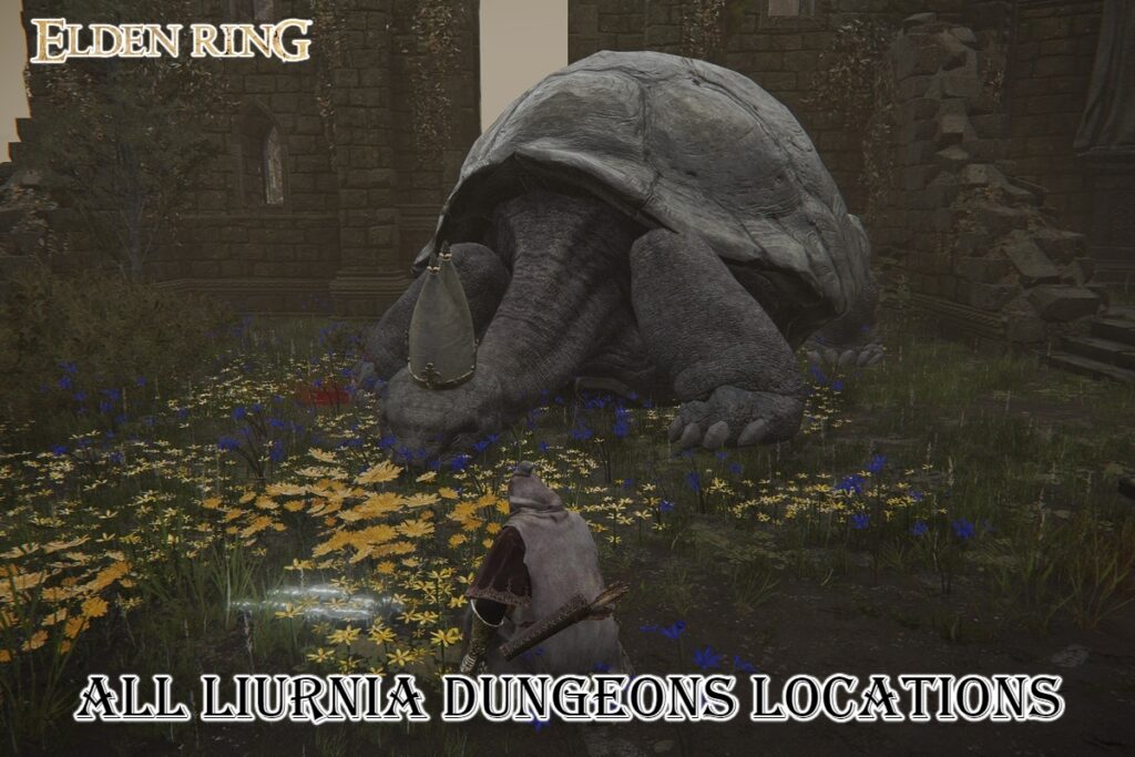 All Liurnia Dungeons Locations In Elden Ring   Elden Ring Liurnia Dungeons.0 1 1024x683 