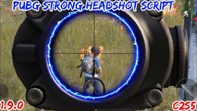 Read more about the article PUBG 1.9.0 Headshot Hack Script C2S5