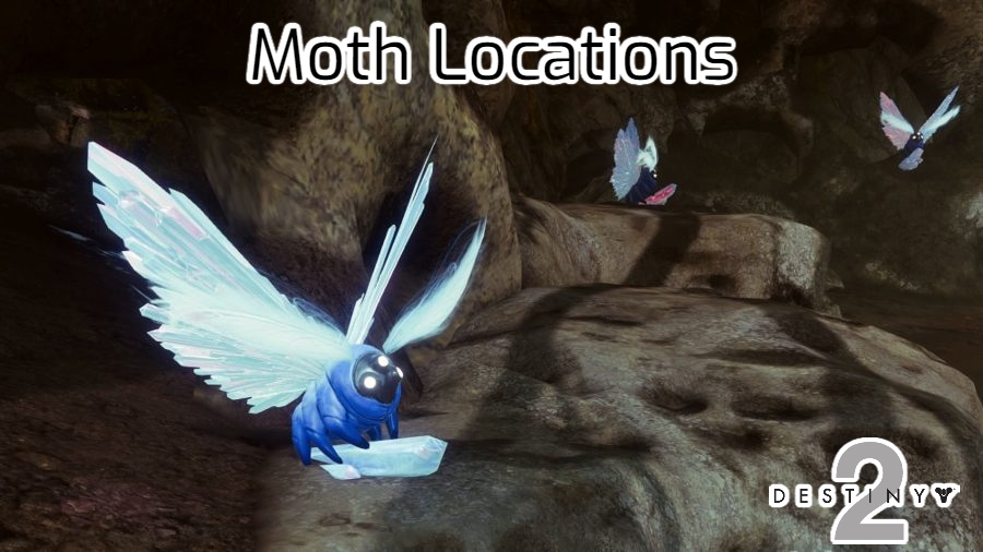 You are currently viewing Moth Locations In Destiny 2