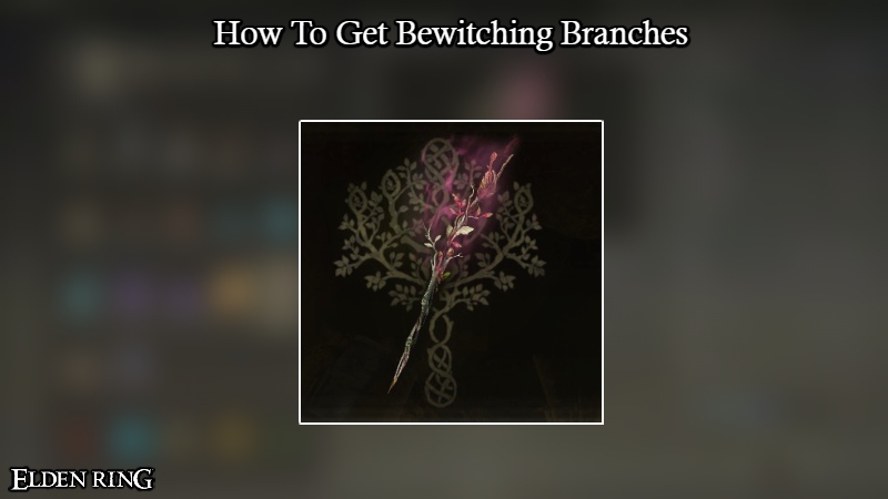 You are currently viewing How To Get Bewitching Branches Elden Ring