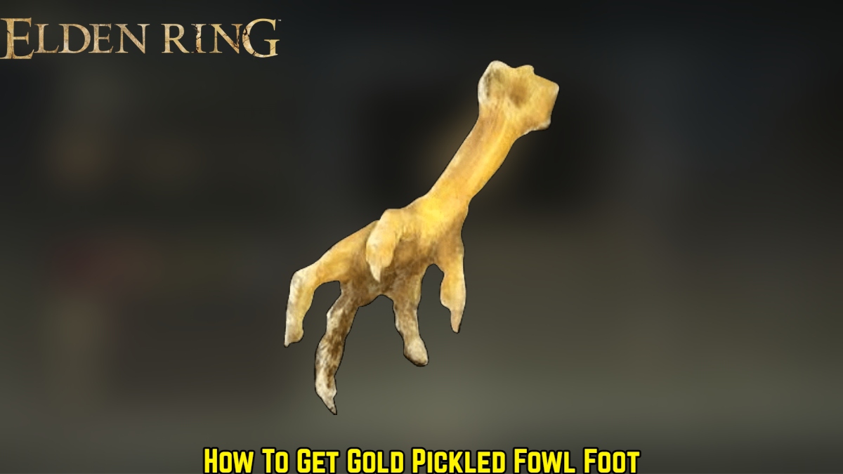 Elden Ring Gold Pickled Fowl Foot item 1