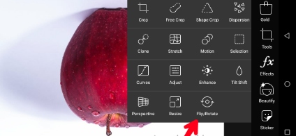 PicsArt Flip Rotate Step 2