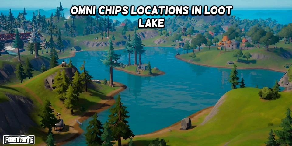 Read more about the article Omni Chips Locations In Loot Lake Fortnite