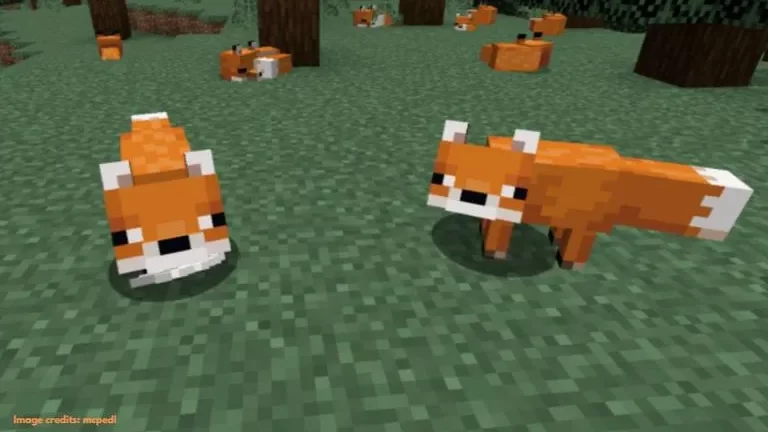 How To Tame A Fox In Minecraft 2022
