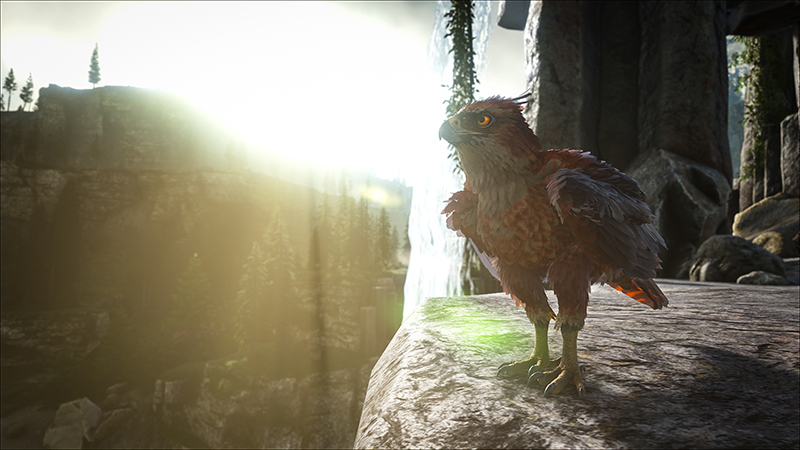 Fjordhawk Location In Ark