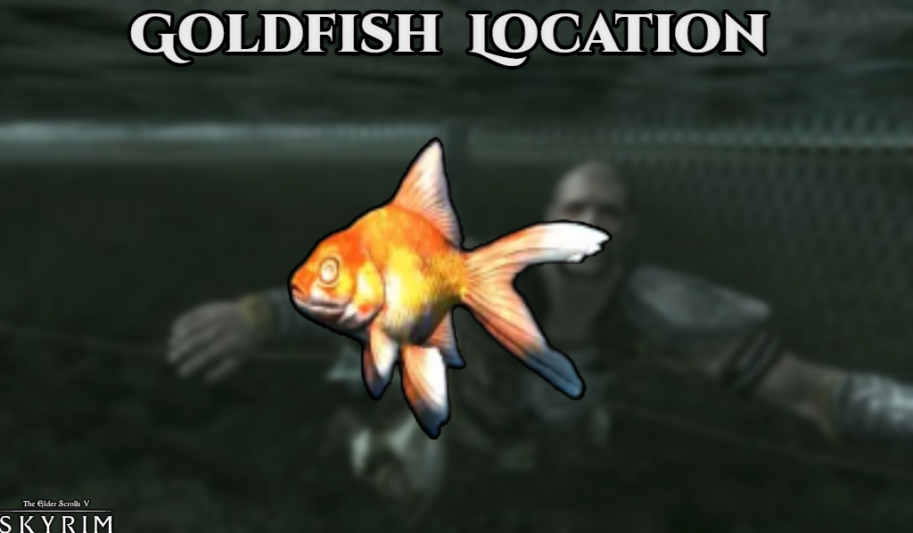 Goldfish Location In Skyrim