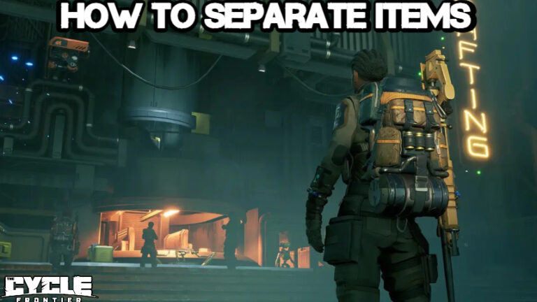 Read more about the article How To Separate Items In The Cycle Frontier