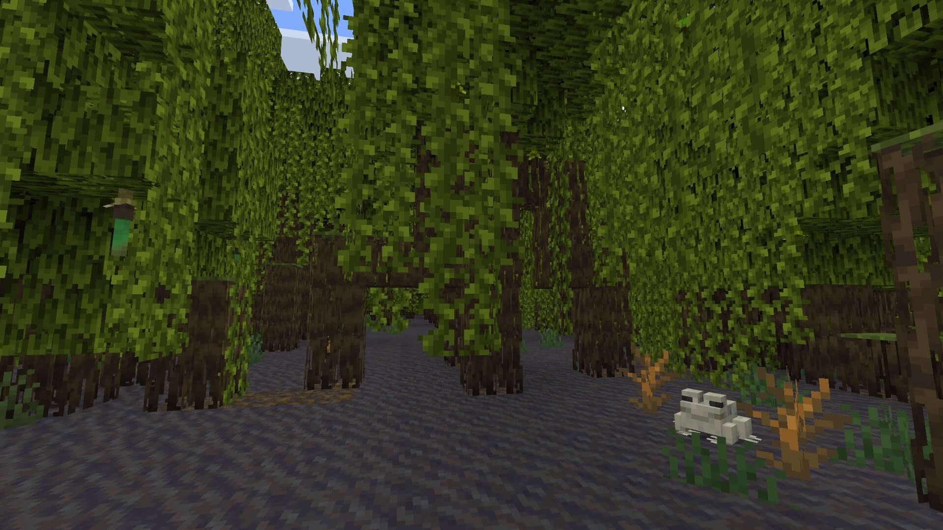 Mangrove Swamps Location Minecraft
