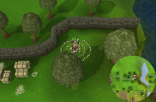 How To Get Fairy Ring In House Osrs