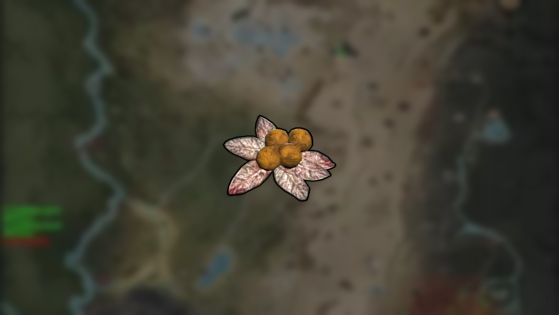 Tarberries Location In Fallout 76