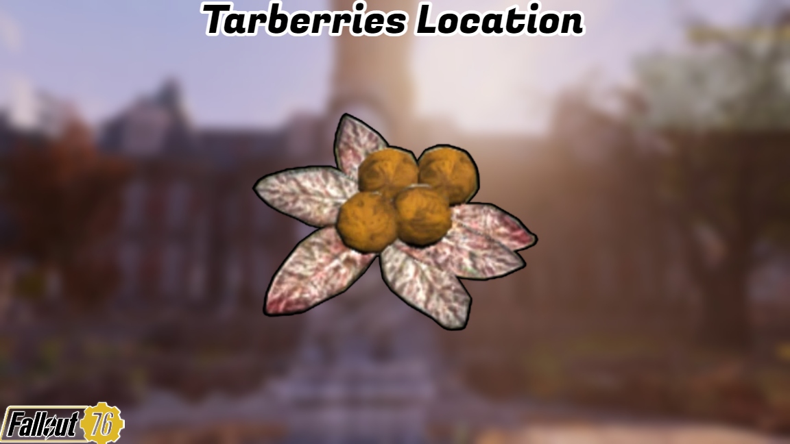 You are currently viewing Tarberries Location In Fallout 76