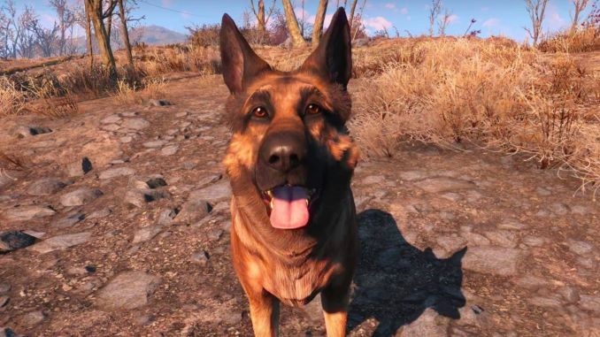 Where Are All The Companions In Fallout 4
