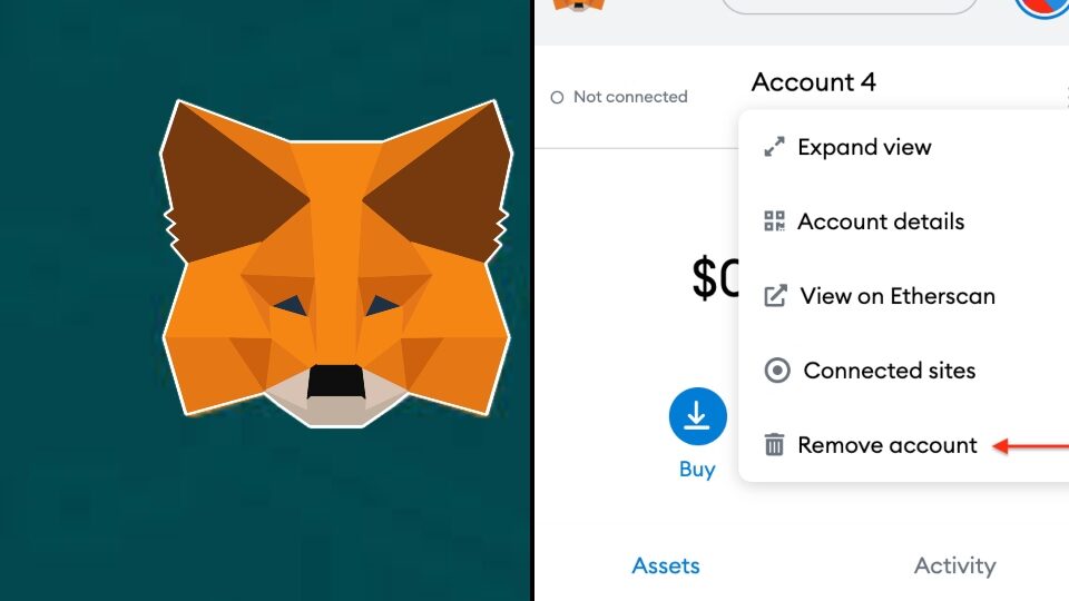 Delete MetaMask Account