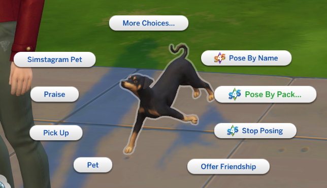 Required Mods For The Sims 4 Poses