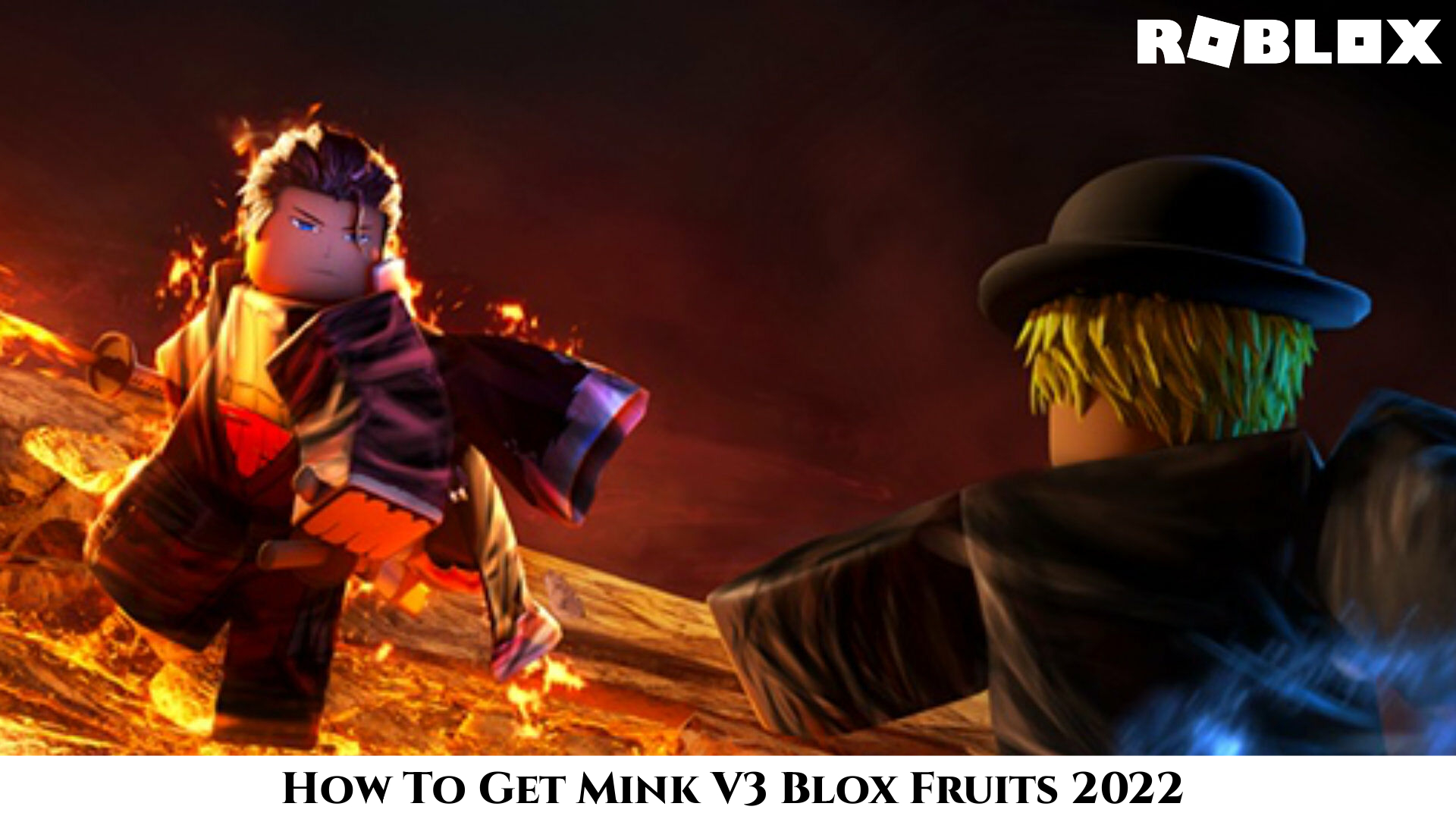 How To Get Mink V3 Blox Fruits 2022