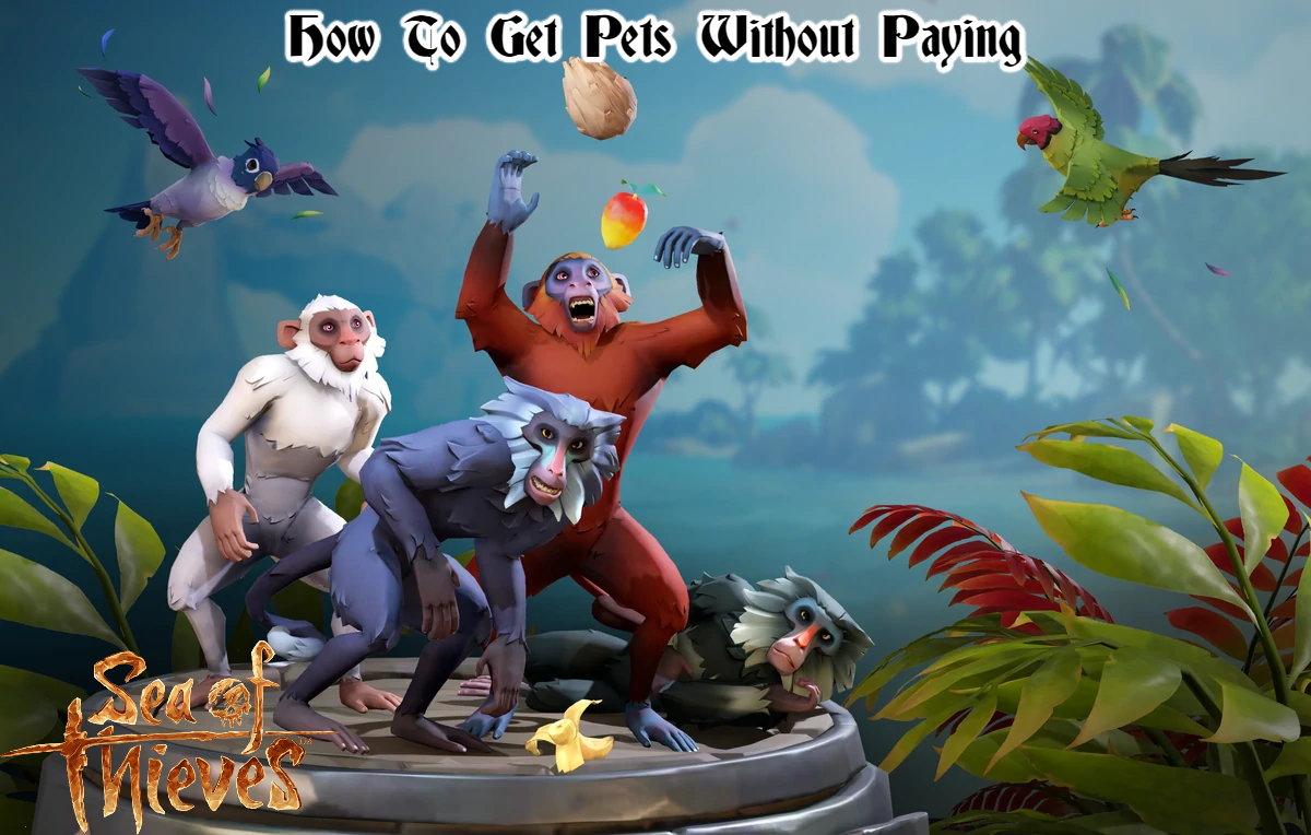 Read more about the article Sea Of Thieves: How To Get Pets Without Paying