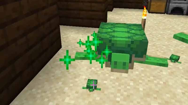 How To Get Scutes In Minecraft Pe