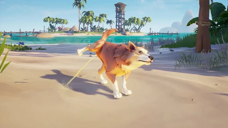 Sea Of Thieves: How To Get Pets Without Paying
