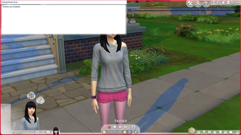 How To Enable Cheats In Sims 4 PC PS5 XBOX