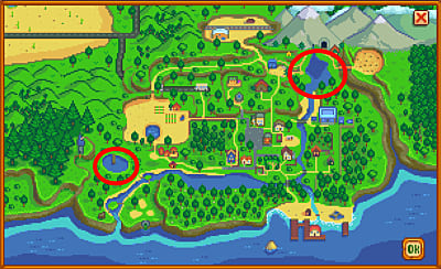 Where To Find Midnight Carp Stardew Valley