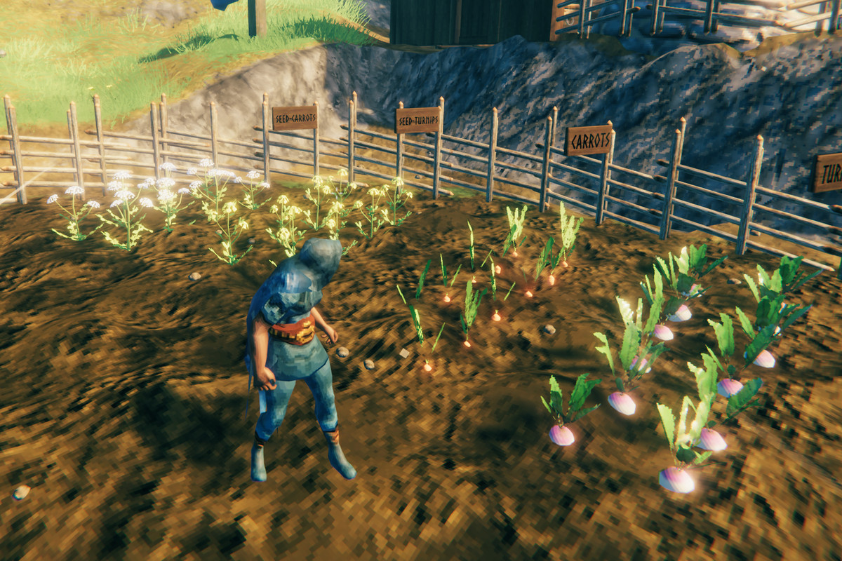 Finding and Utilizing Turnip Seeds in Valheim