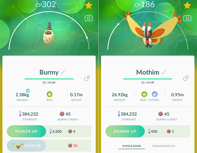 How To Get Mothim In Pokemon GO