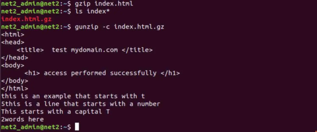 How To Zip A File In Linux Using Gzip