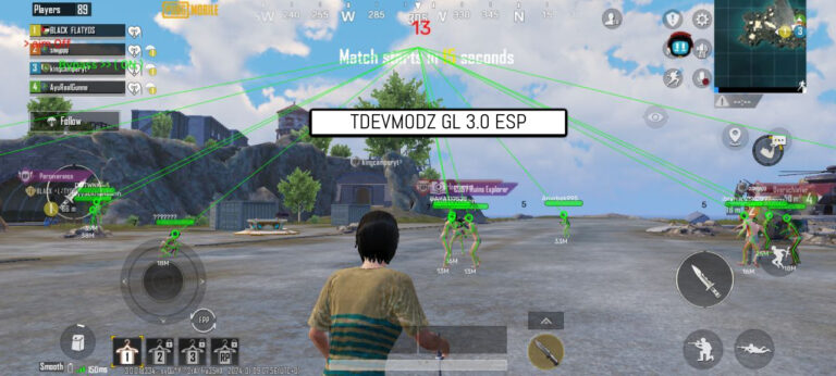 Read more about the article ESP Aimbot Hack Apk PUBGM 3.0